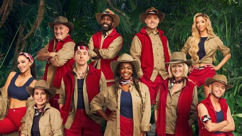 I'm a Celebrity Tips & Advice .